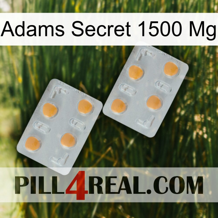 Adams Secret 1500 Mg 25